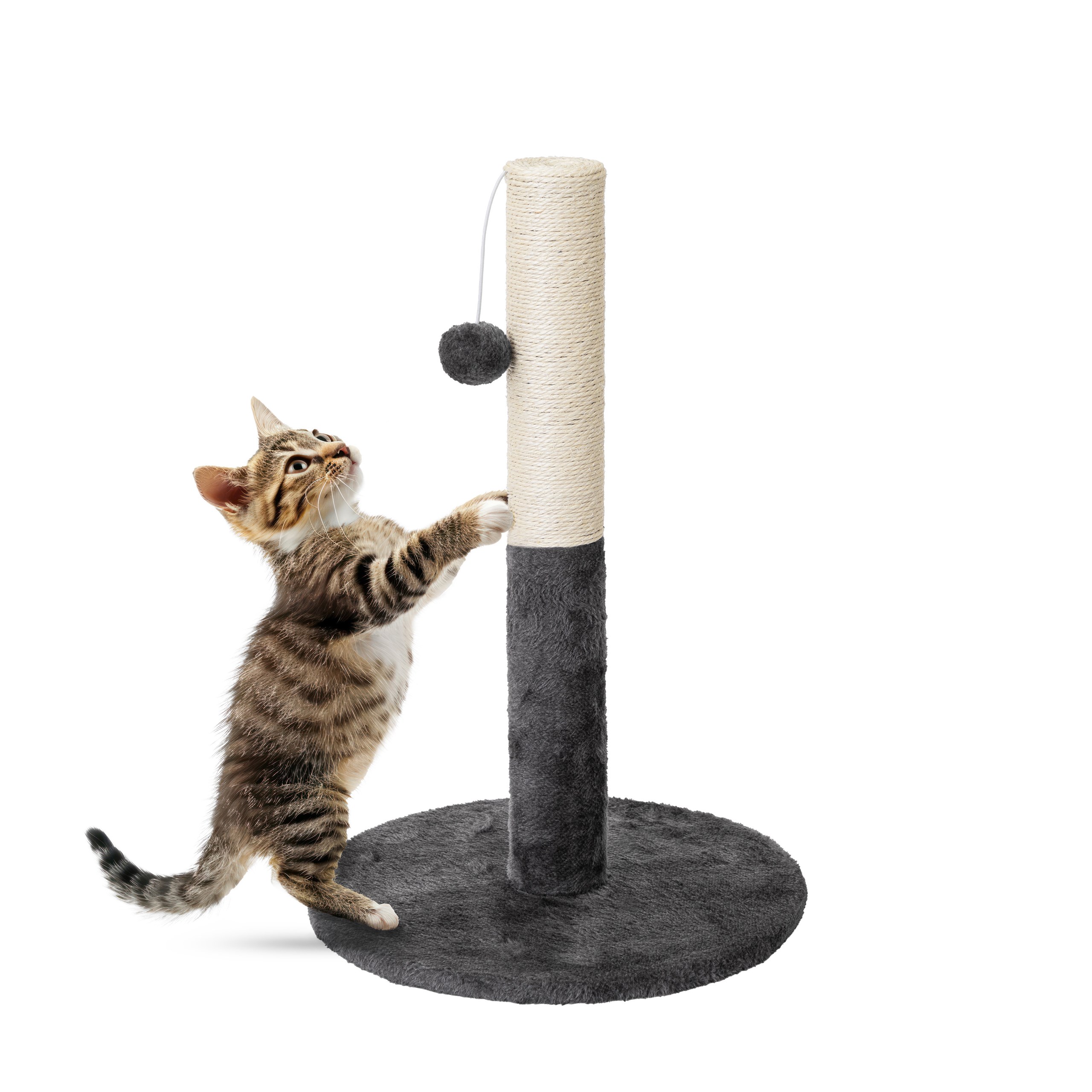 MASTER - Drapak dla kota