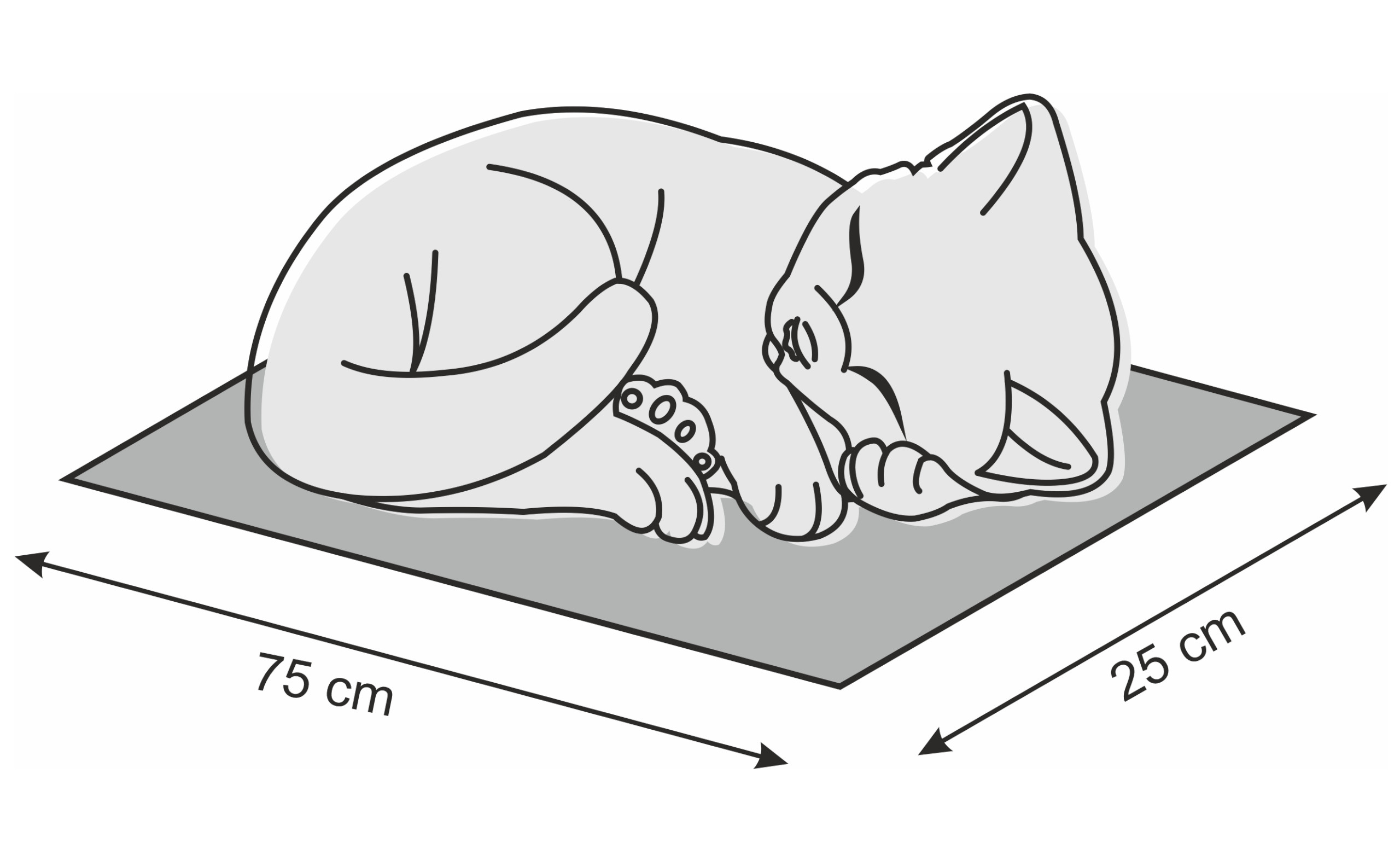 Dobór rozmiaru dla Budki Gatto