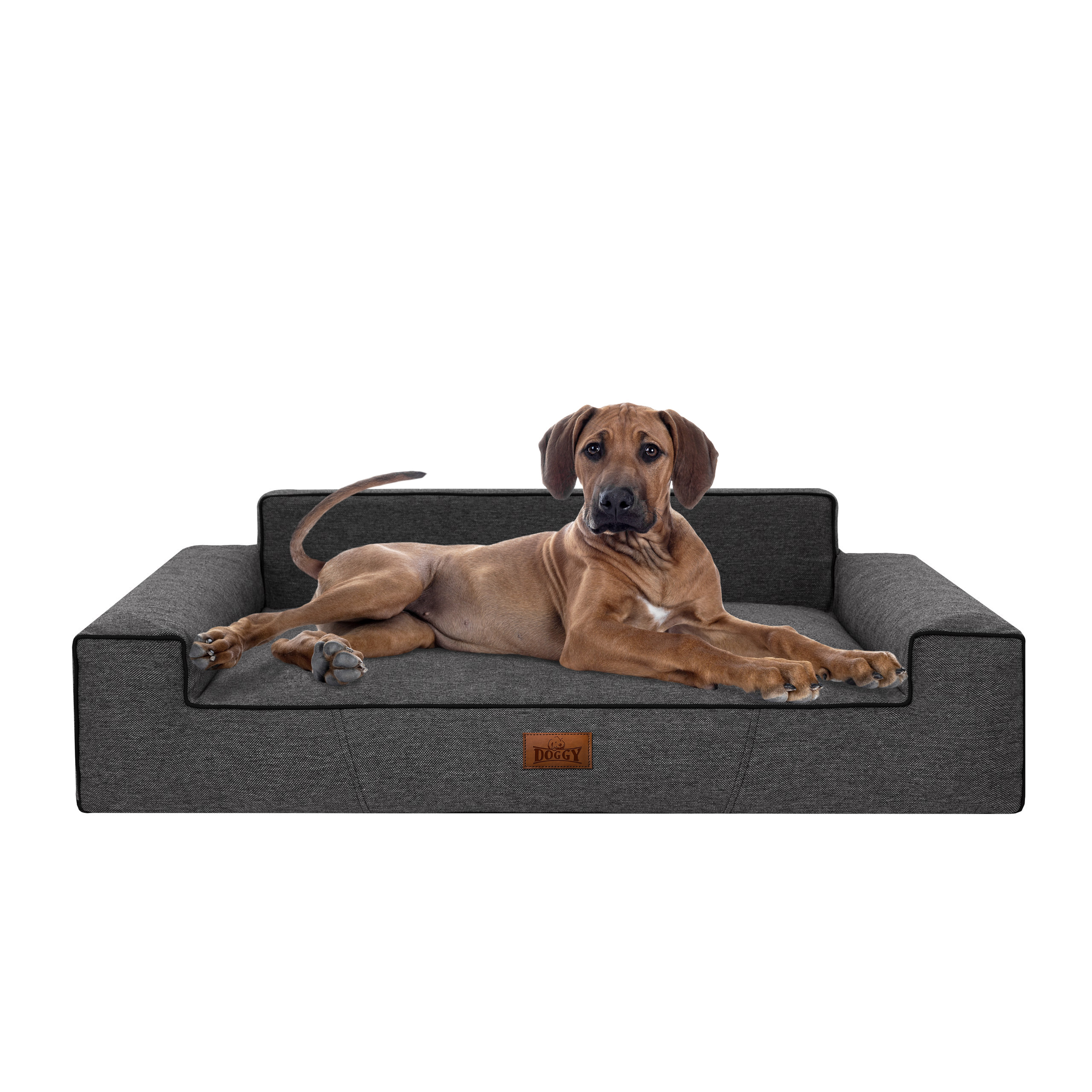 Legowisko Glamour Nowy