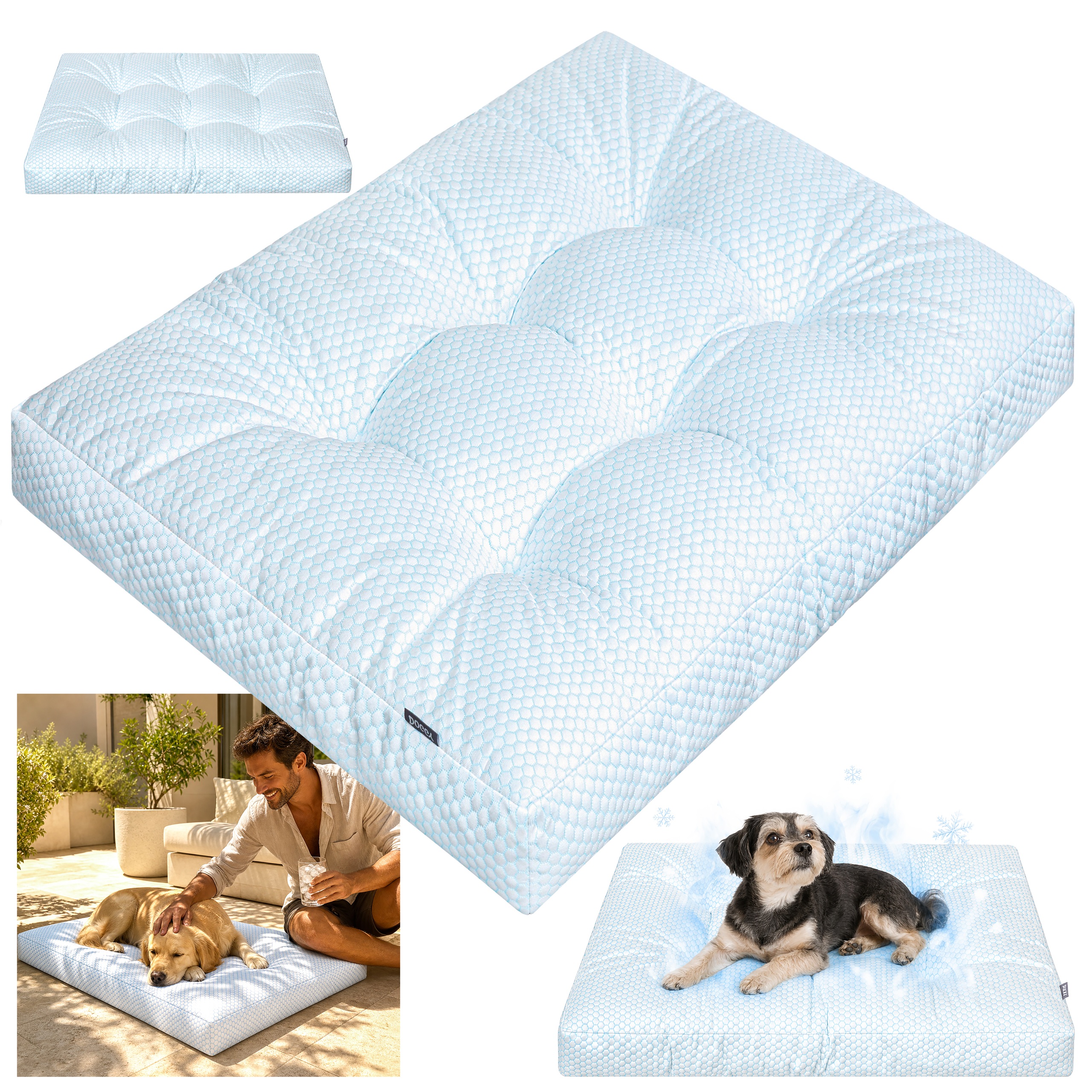 https://opisy.hobbydog.pl/foto/grand_light_ice/1-10.jpg