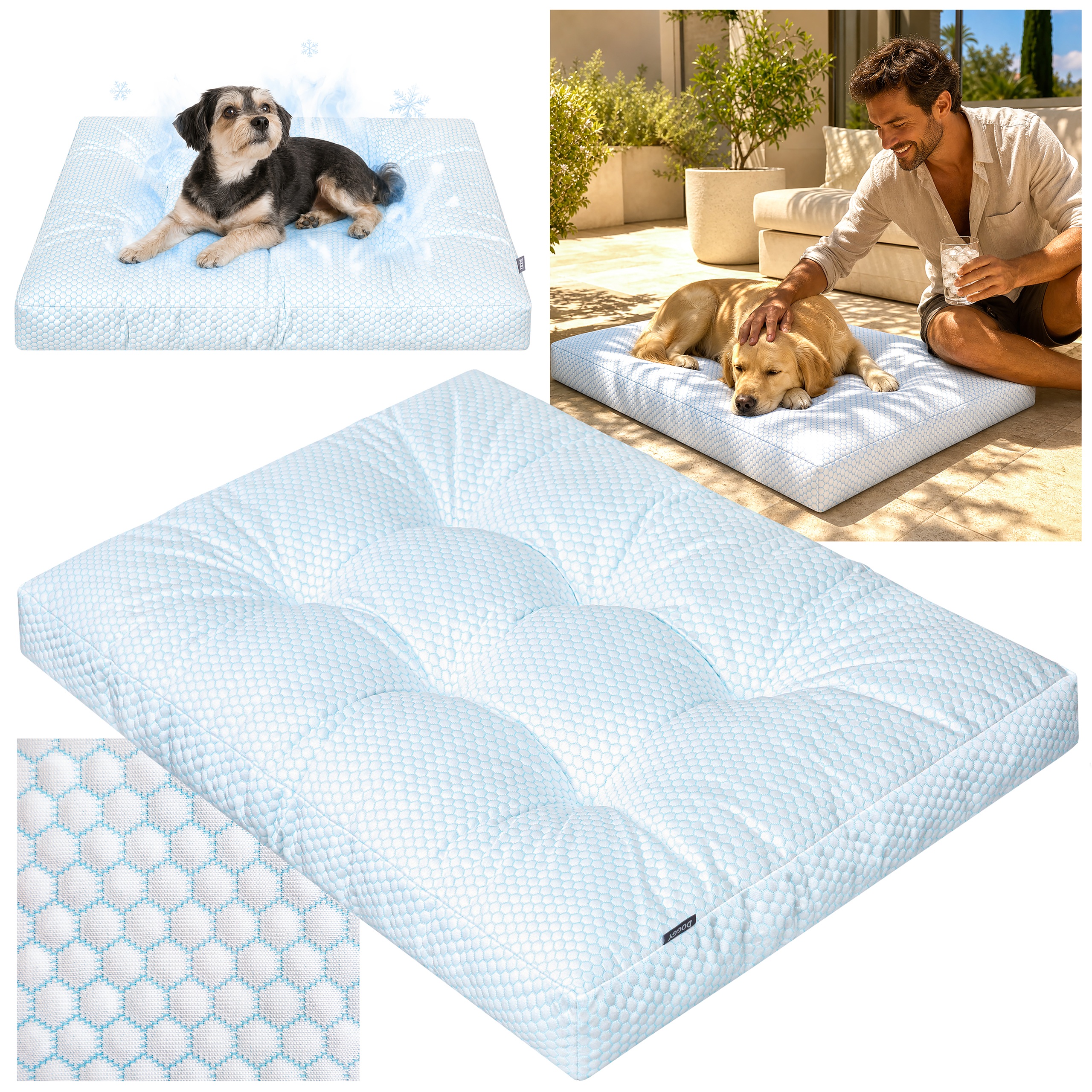 https://opisy.hobbydog.pl/foto/grand_light_ice/1-14.jpg