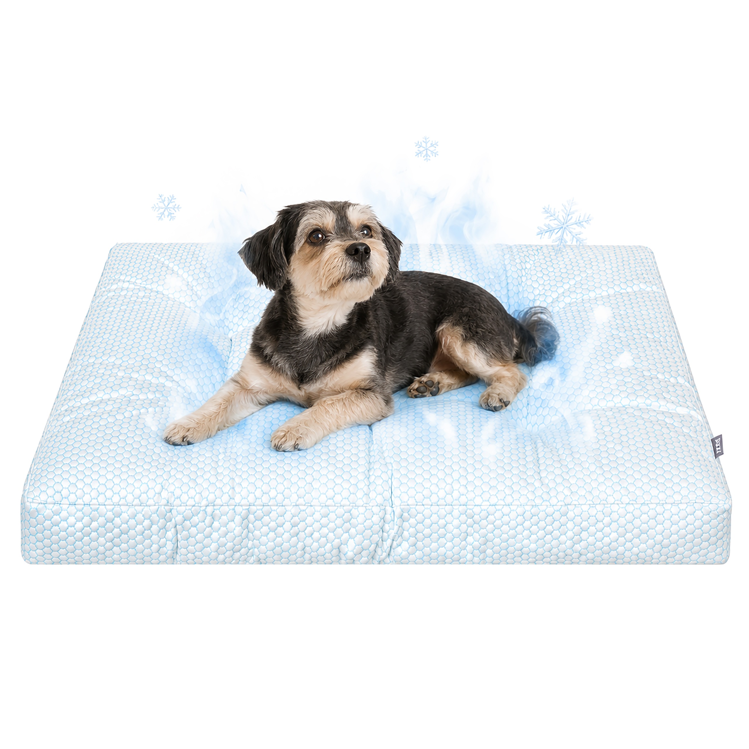 https://opisy.hobbydog.pl/foto/grand_light_ice/1-3.jpg