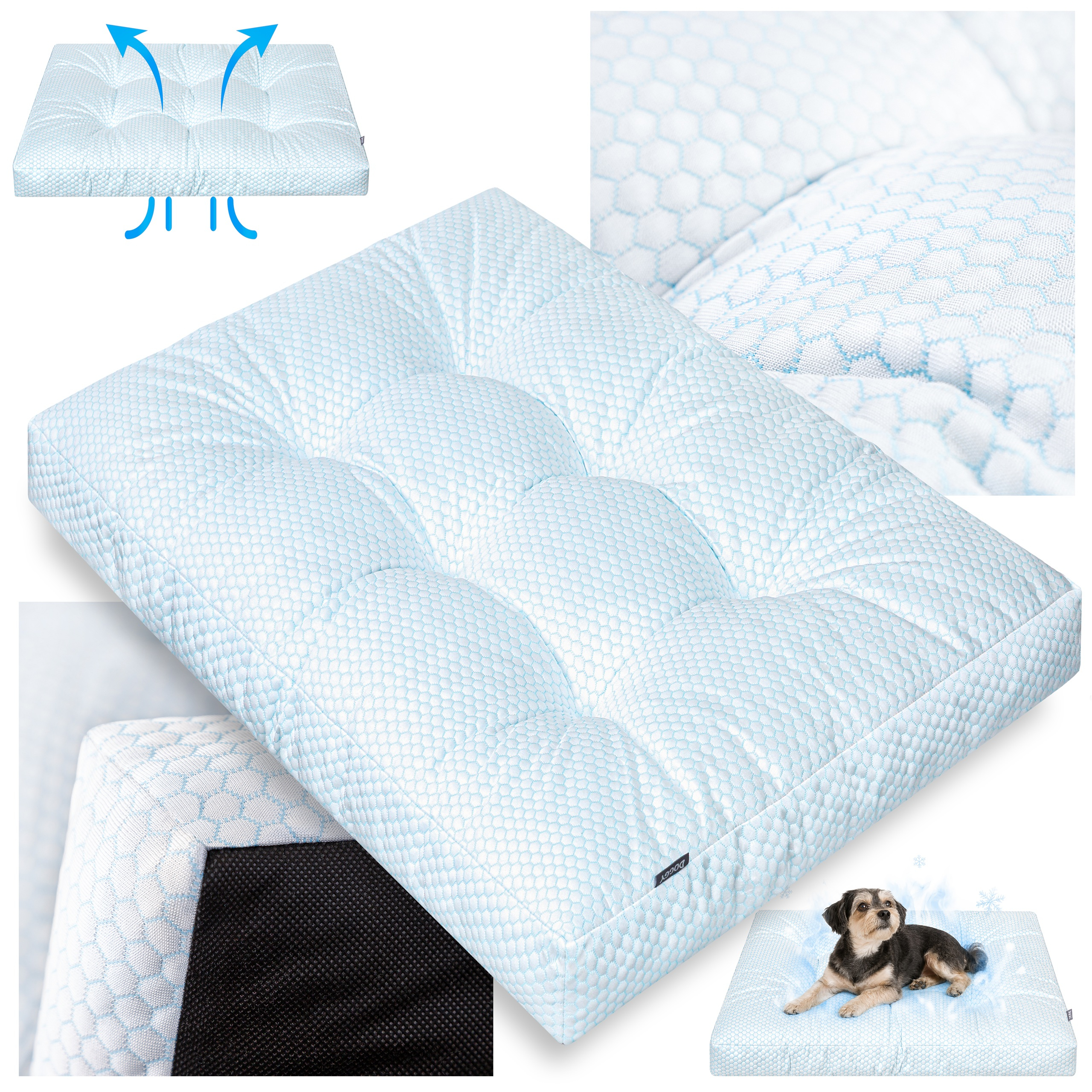 https://opisy.hobbydog.pl/foto/grand_light_ice/1-6.jpg