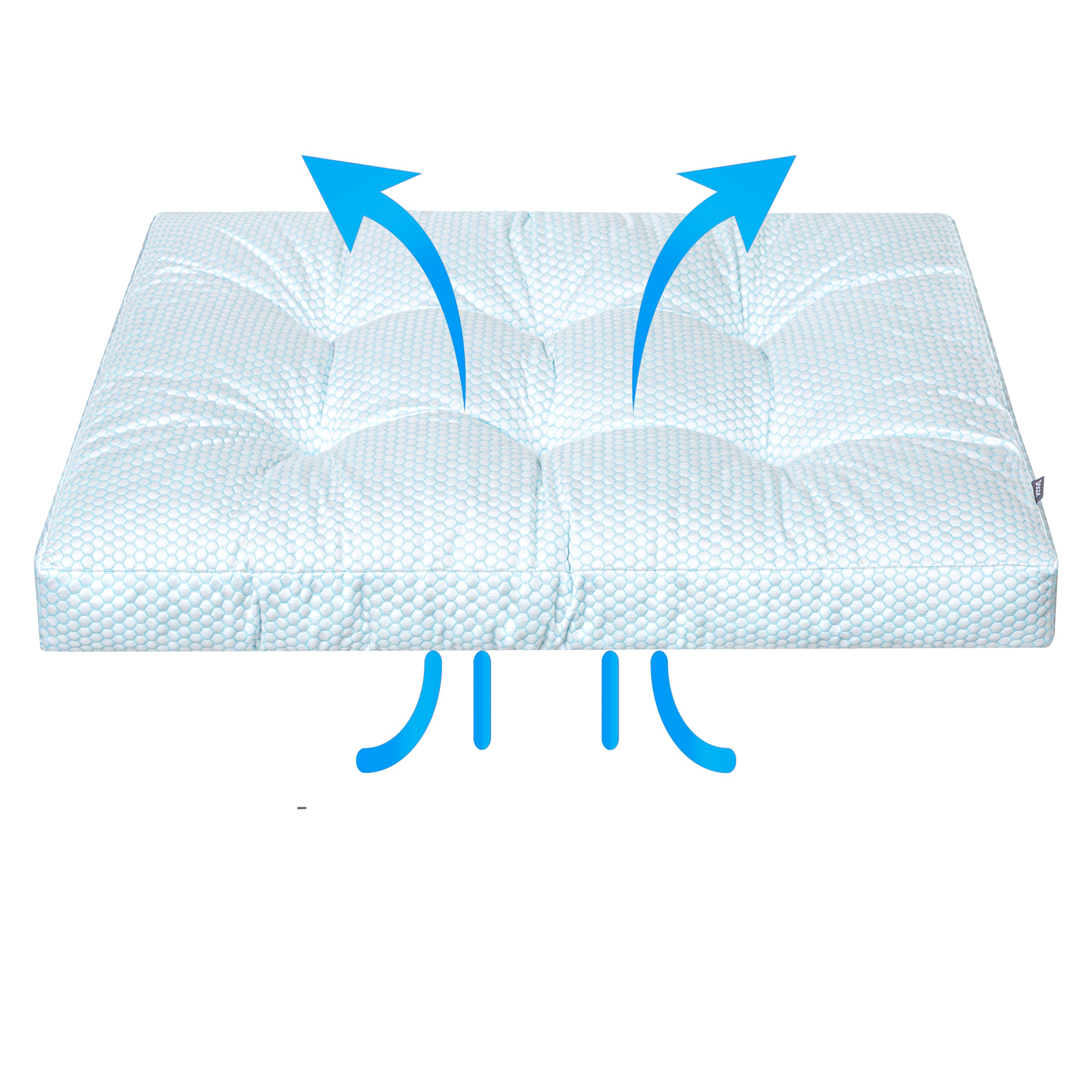 https://opisy.hobbydog.pl/foto/grand_light_ice/1-8.jpg