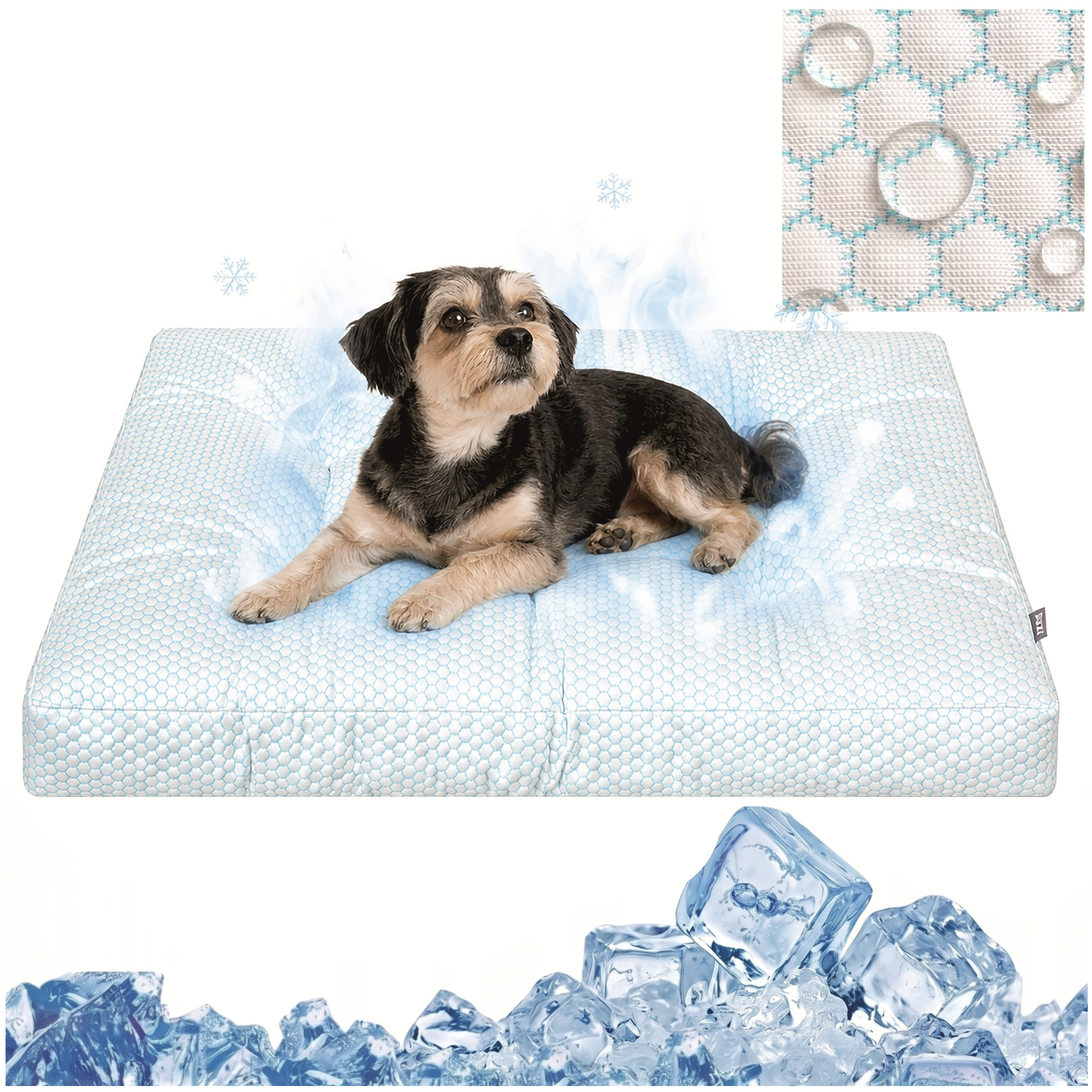https://opisy.hobbydog.pl/foto/grand_light_ice/1-MIN-1.jpg