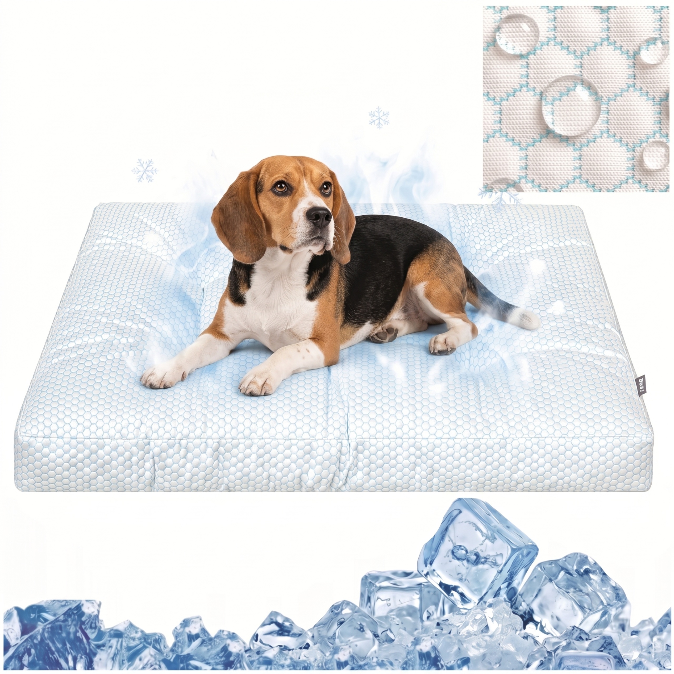https://opisy.hobbydog.pl/foto/grand_light_ice/1-MIN-2.jpg