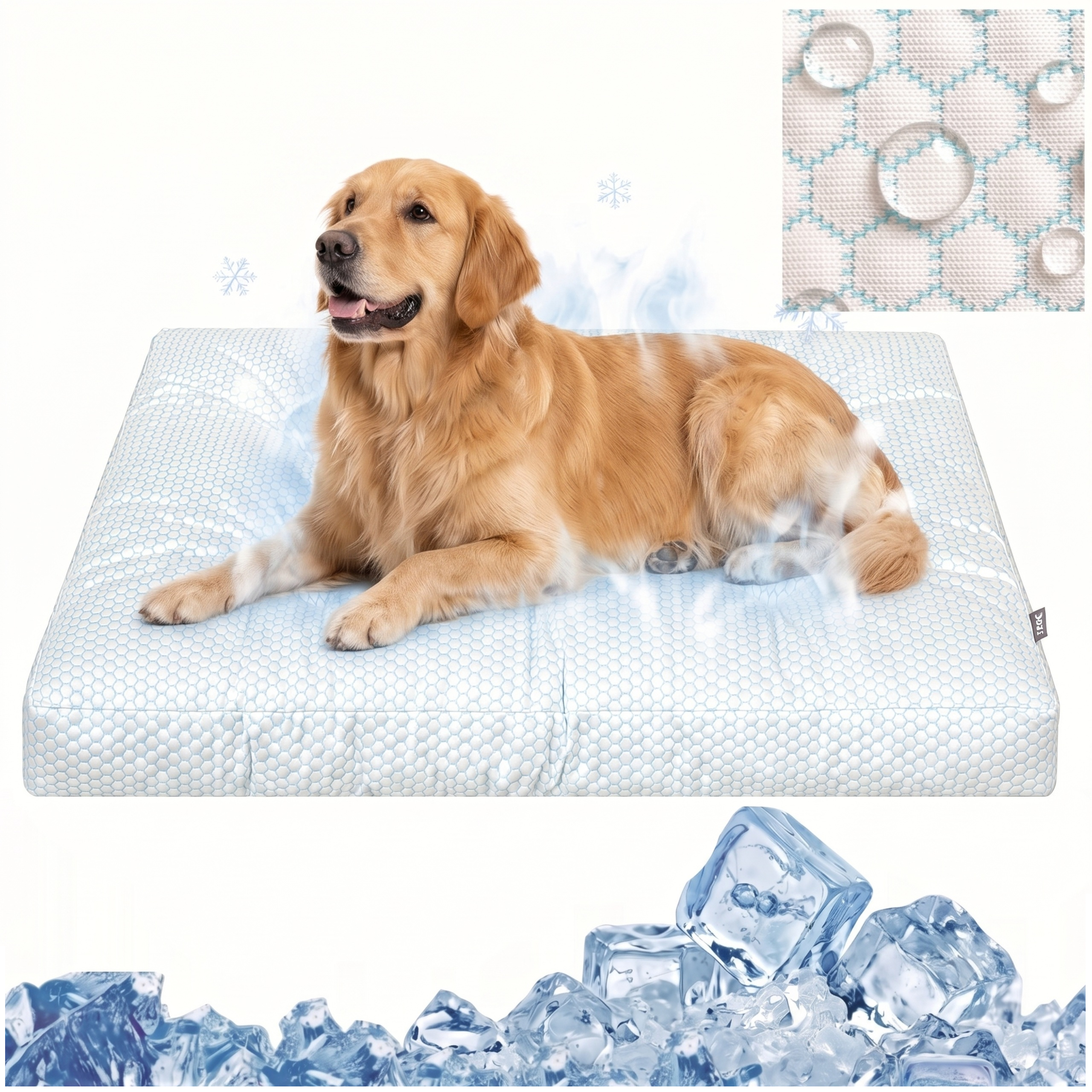 https://opisy.hobbydog.pl/foto/grand_light_ice/1-MIN-3.jpg