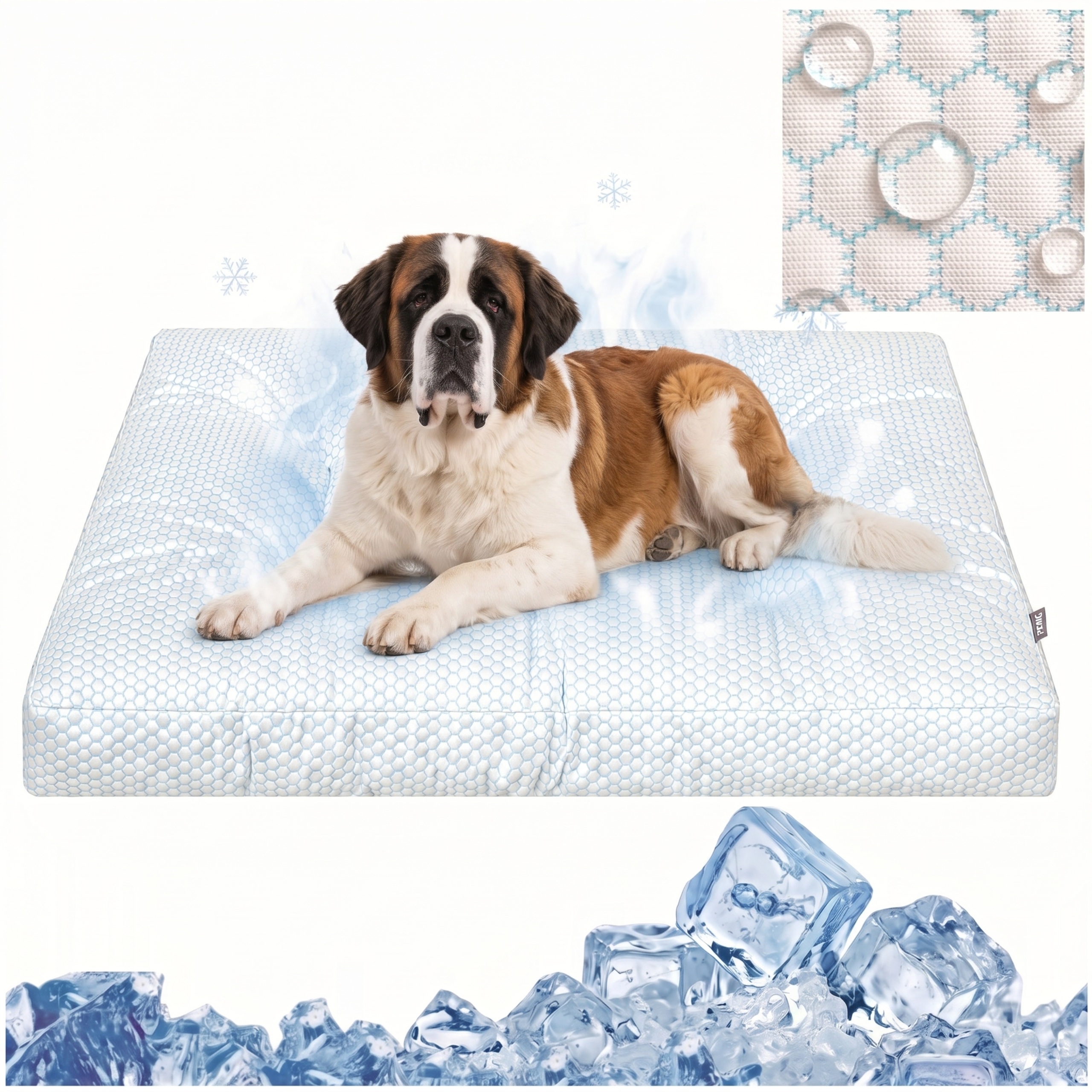 https://opisy.hobbydog.pl/foto/grand_light_ice/1-MIN-4.jpg